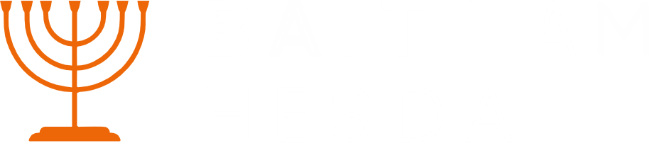 Bit Ham Hesda Logo